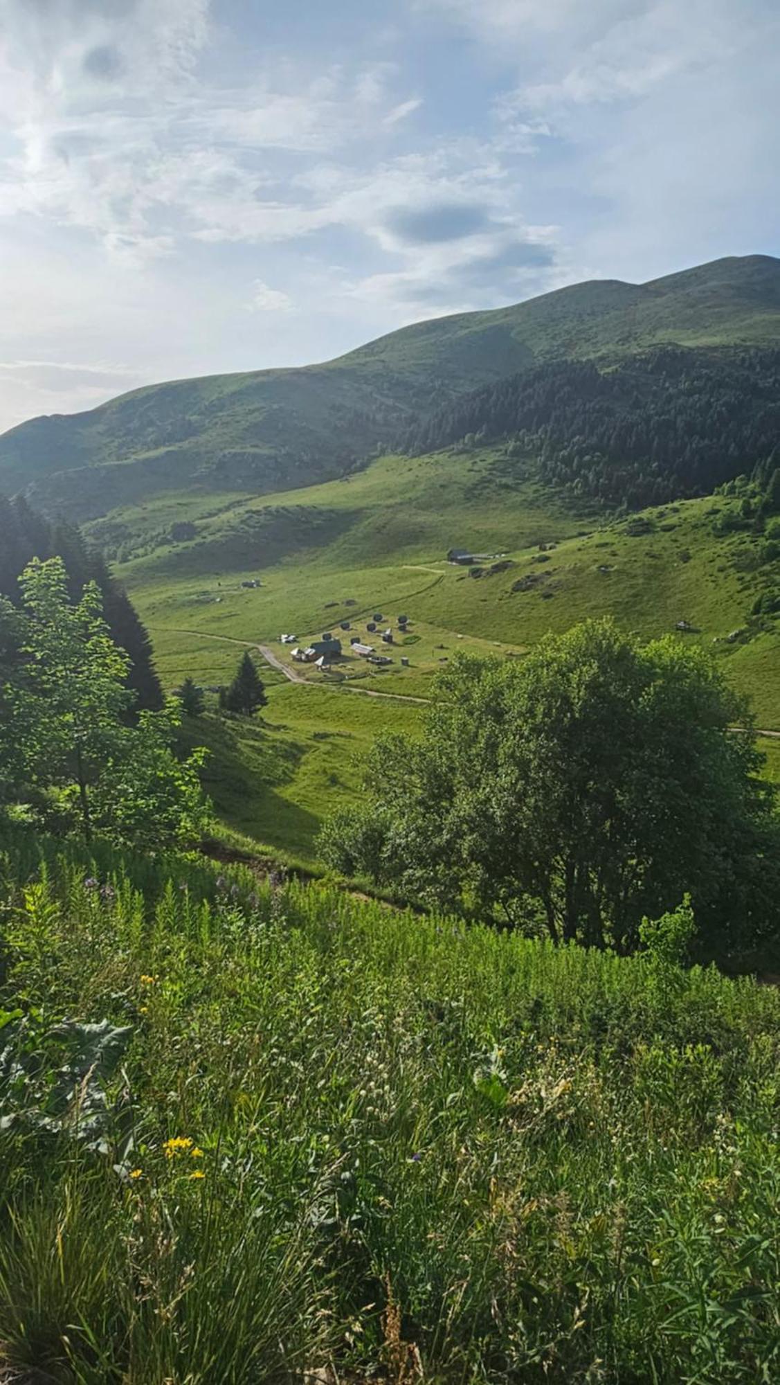 Gasthaus Seosko Domacinstvo Janketic Kolašin Exterior foto